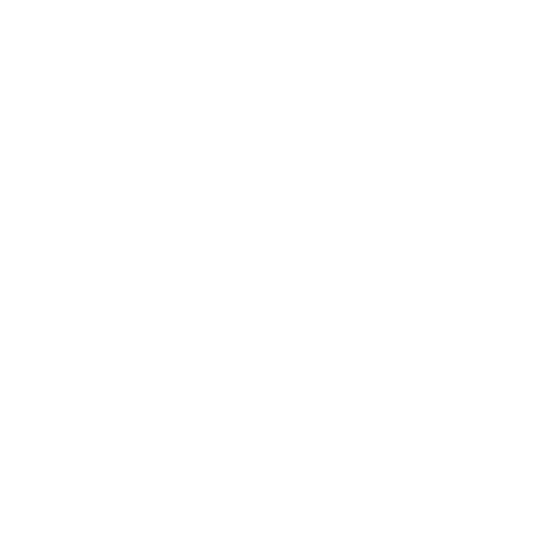 Logo FTM Weiß 500x500